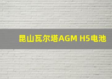 昆山瓦尔塔AGM H5电池